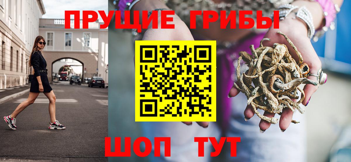 Галлюциногенные грибы Magic Shrooms  Вход с VPN  Магадан  Псилоцибиновые грибы MAGIC MUSHROOMS 